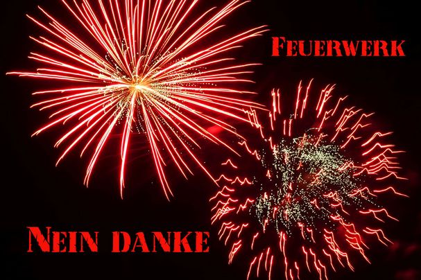 Feuerwerk - Nein danke