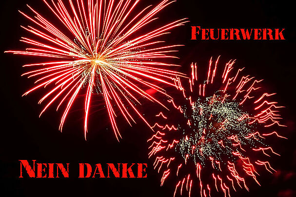 Feuerwerk - Nein danke