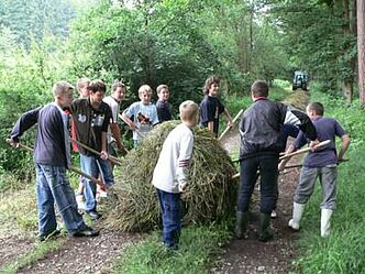 Biotoppflege
