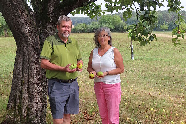 Jutta Grießer (hesselberger) und Helmut Altreuther (BN) an einem Apfelbaum mit viel Fallobst