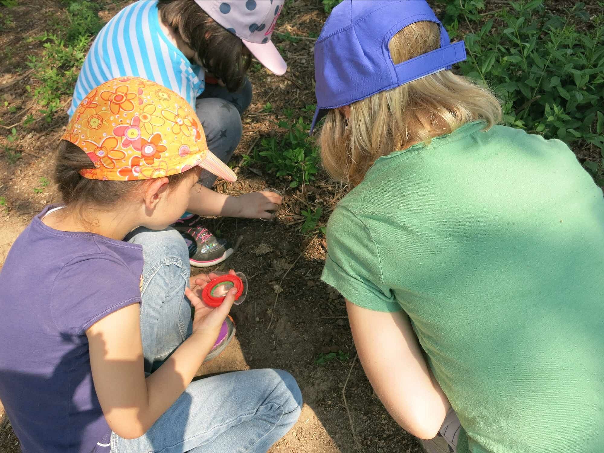 Kinder als Artenkenner