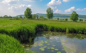 Biotop in den Wörnitzauen